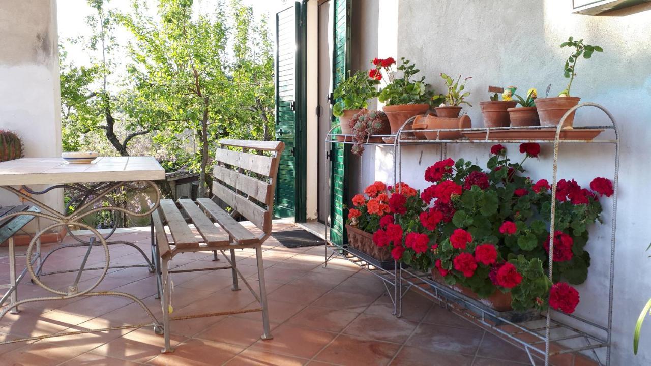 Casa Di Giulia Apartment Santa Luce Exterior photo